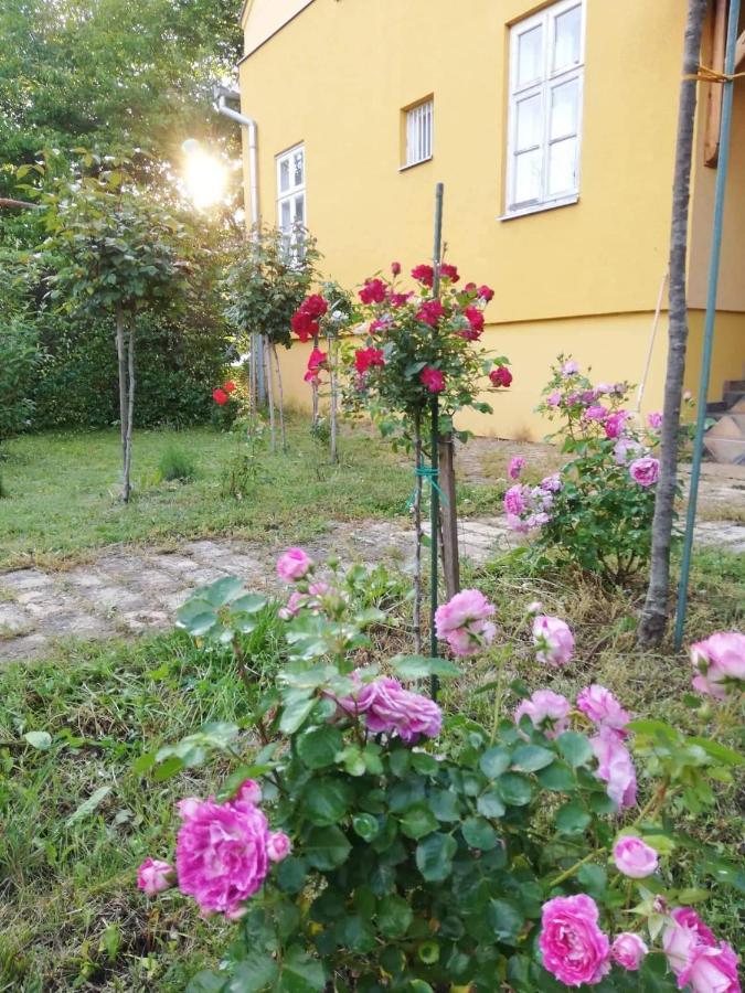 Szorcsik Haz 1913 Apartment Senta Luaran gambar